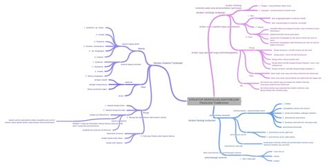 Struktur Morfologi Anatomi Dan Fisiologi Tumbuhan Coggle Diagram