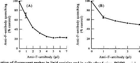 Figure 3 From LATERAL MOBILITY OF TETRAMETHYLRHODAMINE TMR LABELLED