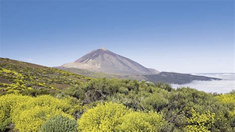 Teneriffa Rundreise In Spanien 4 Hotel Alua Parque San Antonio Von