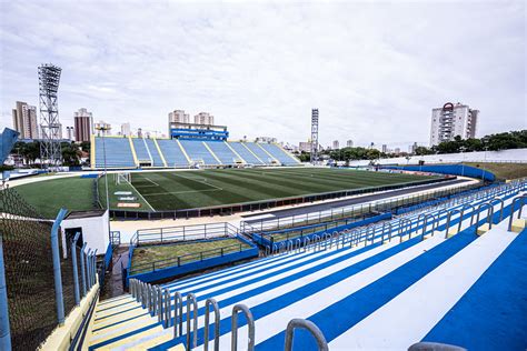 Santo André x Palmeiras veja tudo sobre o jogo da sétima rodada do