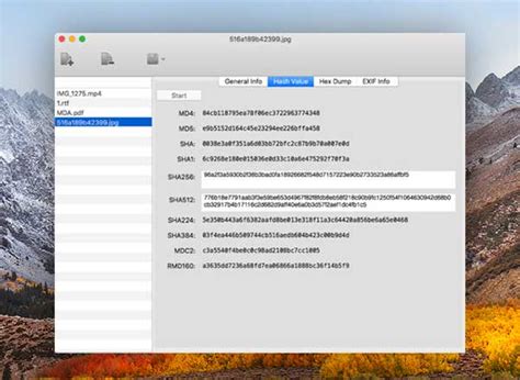 file mac va tout vous dire sur vos fichiers gratuit maxiapple