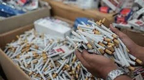 Bea Cukai Malang Aman Jutaan Batang Rokok Ilegal Rugikan Negara Hampir