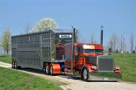 Pete And Cattle Wagon Big Rig Trucks Trucks Big Trucks