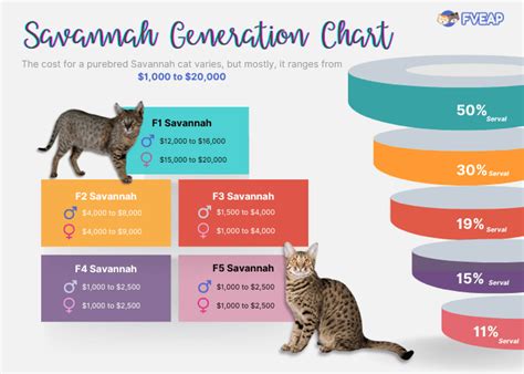 How Much Does a Savannah Cat Cost in 2024?