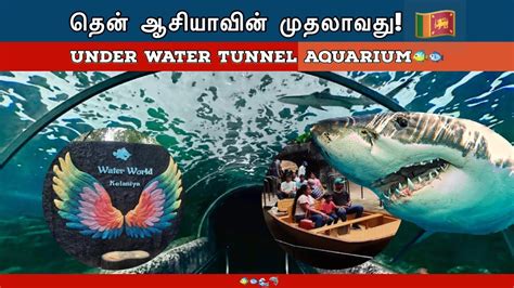 Water World Kelaniya Sri Lanka Sltamilvlogs Waterworld Youtube