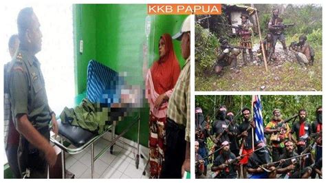 Kkb Papua Berniat Cari Kayu Bakar Di Tepi Hutan Warga Sipil Di