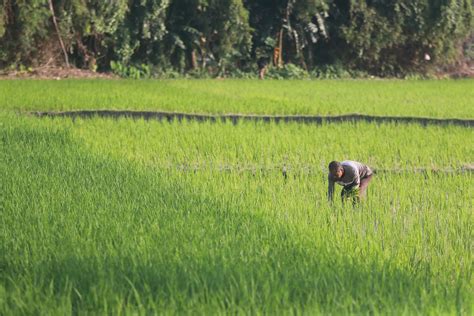 Hore Petani Madiun Dapat Tambahan Jatah Subsidi Segini Alokasinya