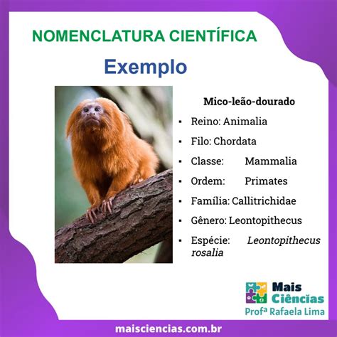 O Que É Nomenclatura Cientifica - Nomenclatura Científica - Mais Ciências - Professora Rafaela Lima ...