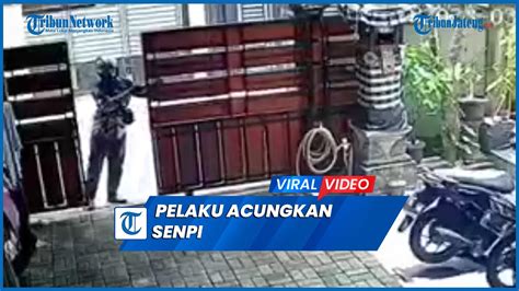 Aksi Maling Motor Ketahuan Sang Pemilik Pelaku Acungkan Senpi YouTube