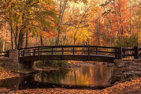 Autumn Bridge Photograph by Judy Witter - Pixels