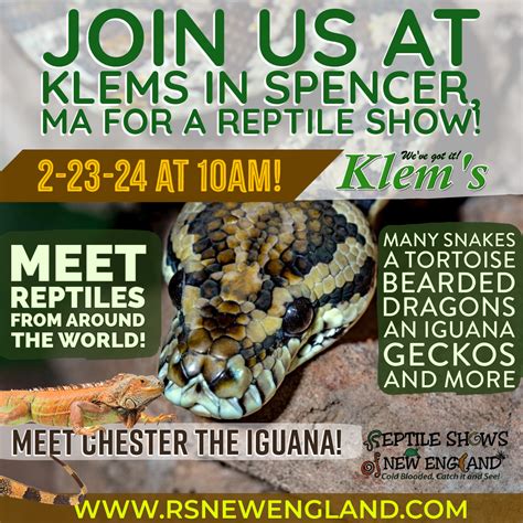 Reptile Shows of New England | Reptile show Massachusetts