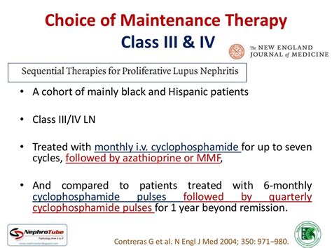 Lupus Nephritis Management The Soft Evidence Dr Gawad