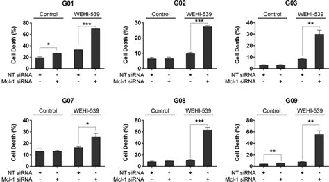 Silencing Of Mcl 1 Combined With Bcl Xl Inhibition Affects The