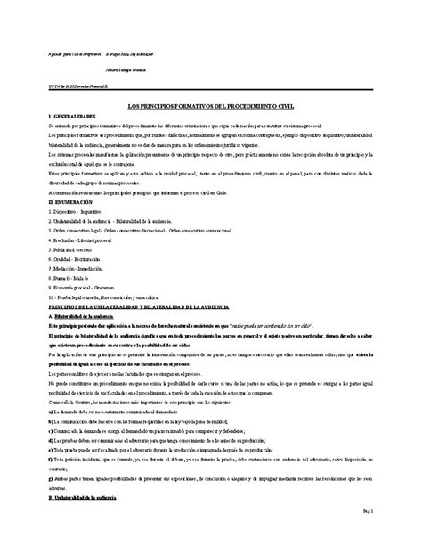 1 4 Apunte Derecho Procesal Ll Principios Formativos Del Procedimiento