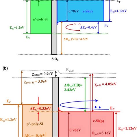 A Band Diagram Showing The Rear Side Of An N Type Topcon Solar Cell