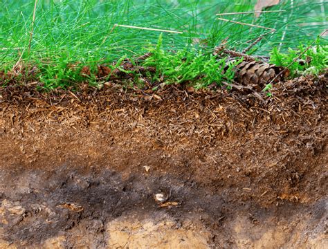 Why Should You Add Topsoil To A Compost Pile Backyard Boss