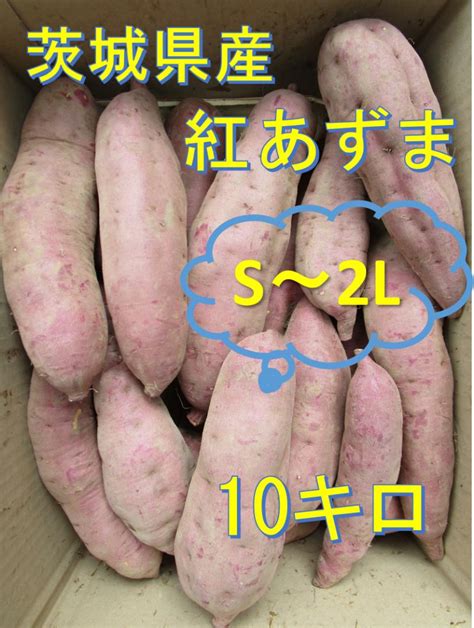 茨城県産 さつまいも【 紅あずま（紅東）10キロ 箱込み サツマイモ メルカリ