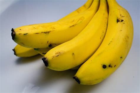 Banana Varieties | Bananalabel Catalog