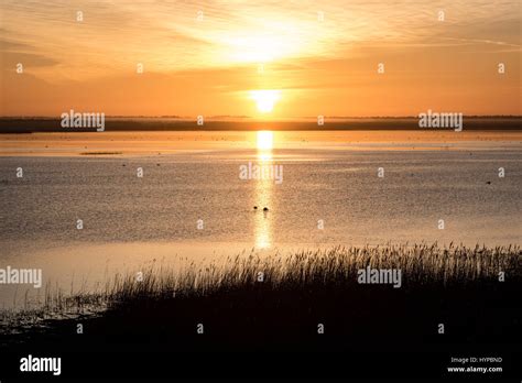 Beautiful Sunrise Over Country Lake With Orange Clouds And Reflections