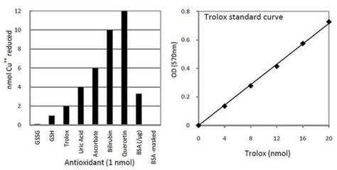 Total Antioxidant Capacity Tac Colorimetric Assay Kit Biovision Protein Assays