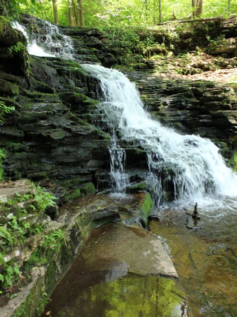 Ricketts Glen State Park Hiking Trails