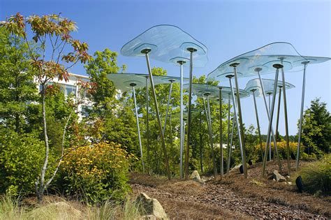 Glass Forest