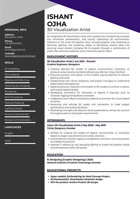 Sample Resume Of D Visualization Artist With Template Writing Guide