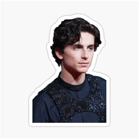 Regalos Y Productos Timothee Chalamet Timothee Chalamet Stickers