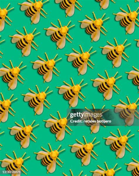 Bee Toy Photos And Premium High Res Pictures Getty Images