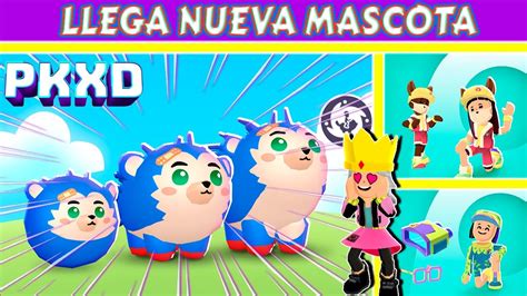 NUEVA MASCOTA ERIZO Llega A PK XD YouTube