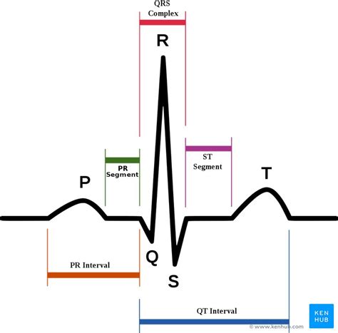 Cardiac Cycle Phases Definition Systole And Diastole Kenhub