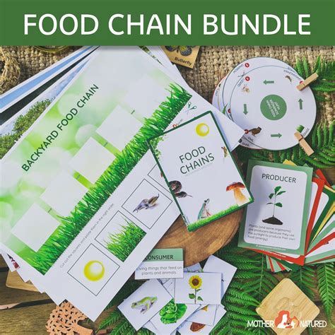 Food Chain Printables Bundle Food Web Printables Bundle Etsy Australia