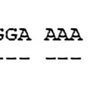 Alignment Of The Sequence Of Exon 3 Of DQA1 05 19 With The Sequence Of