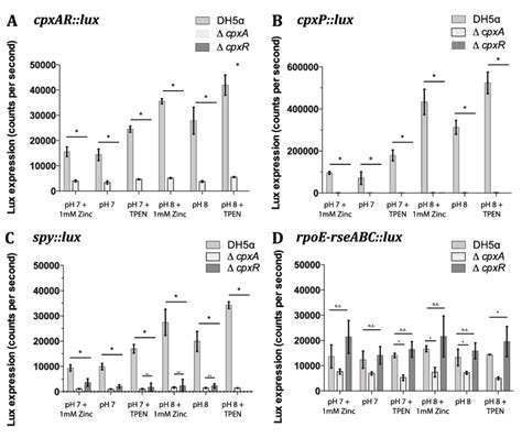 Genes positively regulated by CpxAR are not up regulated in ΔcpxA and