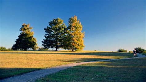 Black Belt Archives - Alabama Birding Trails