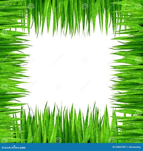 Green Grass Frame Stock Image Image Of Color Background 23863789