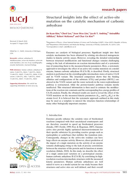 PDF Structural Insights Into The Effect Of Active Site Mutation On