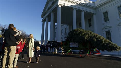 Jill Biden welcomes White House Christmas tree