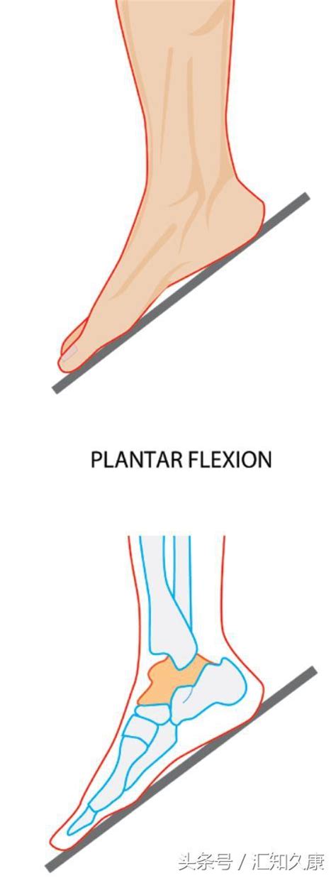 教你一個方法 解除跑步後引發的足跟疼痛 每日頭條