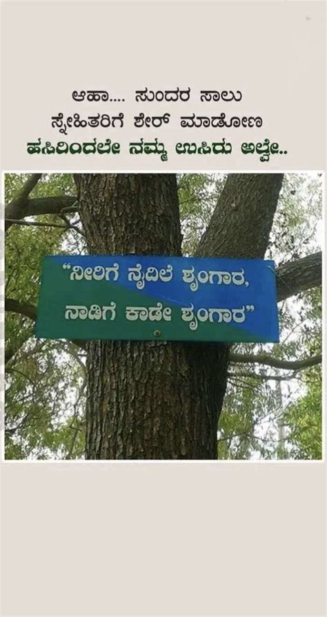 A Blue Sign Hanging From The Side Of A Tree In Front Of A Sky Background