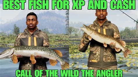 The Best Fish To Grind For Insane Cash AnD Xp Call Of The Wild The