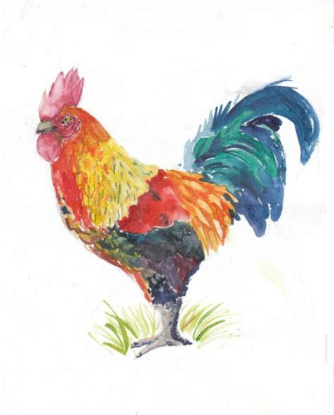 Rooster Sketches - ClipArt Best