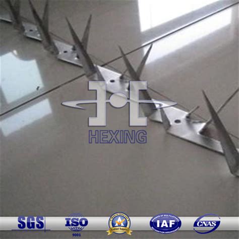 Hot Dipped Galvanized Wall Spikes 2 High Quality Hot Dipped Galvanized