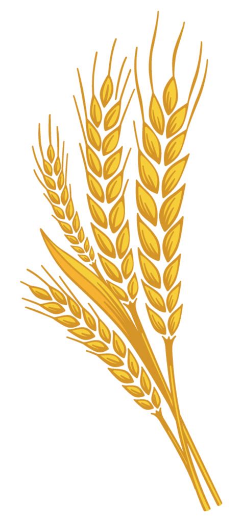 Free Wheat Stalk Png, Download Free Wheat Stalk Png png images, Free ...