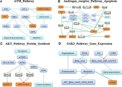 Schematic Representation Of The Respective Drug Targets In The Overall