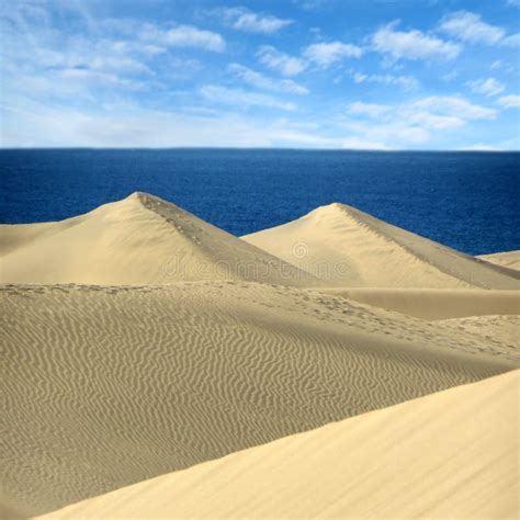 Sand Dunes In Gran Canaria Grancanaria Canaryislands | Hot Sex Picture