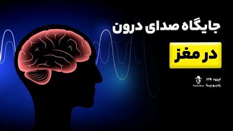 جایگاه صدای درون در مغز Neuroscience Of Inner Voice Youtube