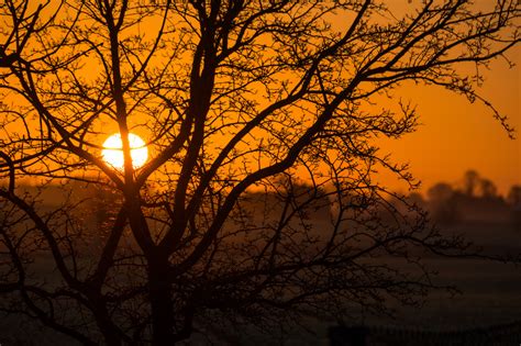 Wallpaper Sunlight Landscape Sunset Nature Sky Branch Sunrise