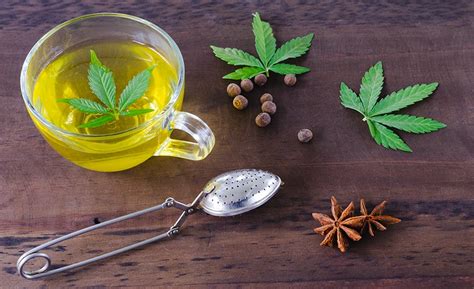 Dégustez les meilleures infusions au CBD avec Casa del CBD