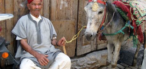 Best places to stay in Fez , Morocco | The Hotel Guru